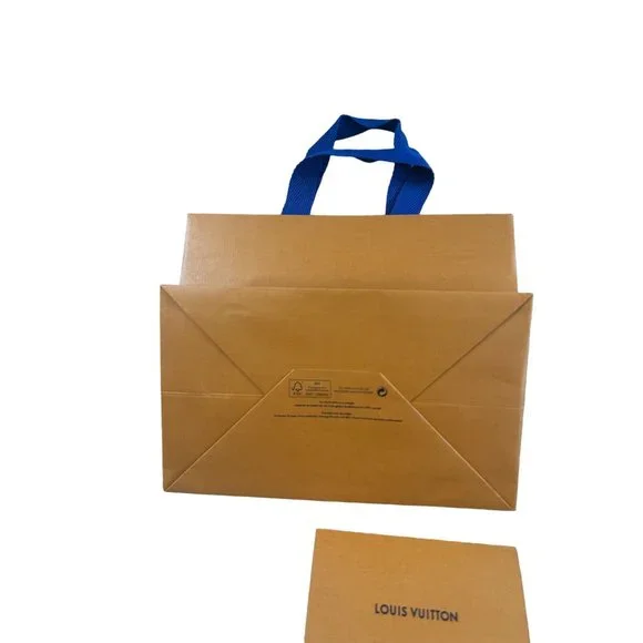 LOUIS VUITTON Small Square Shopping Gift Bag - Picture 4 of 4